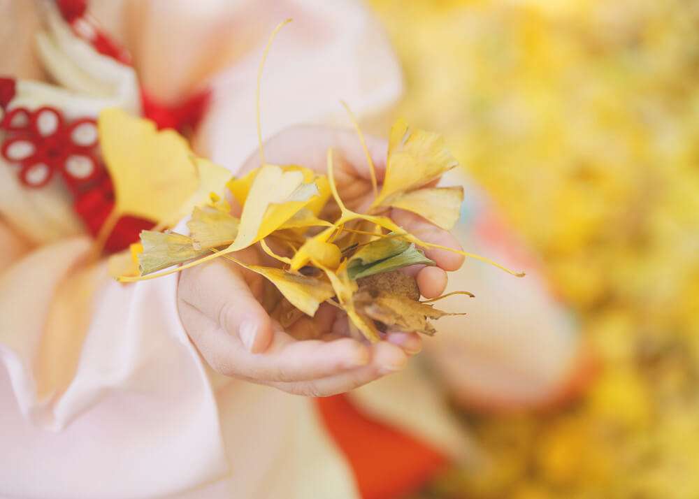 東京・葛西神社でイチョウを拾う女の子