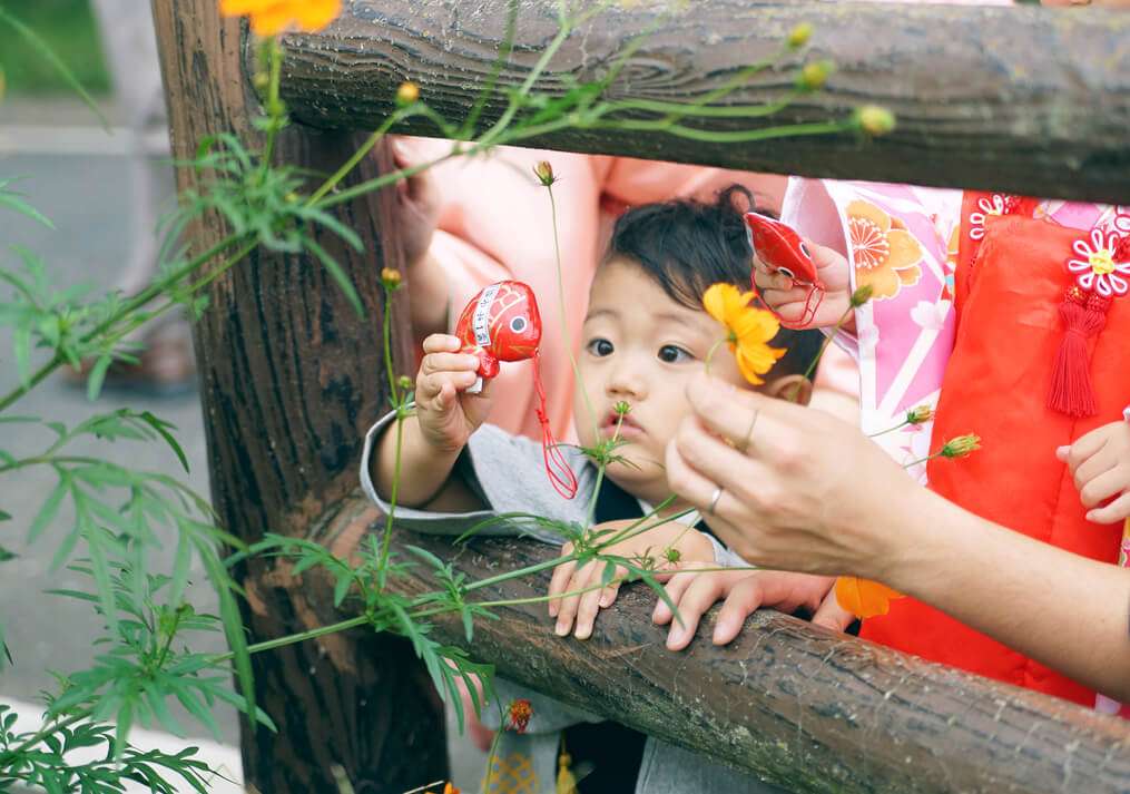 鯛を見る男の子