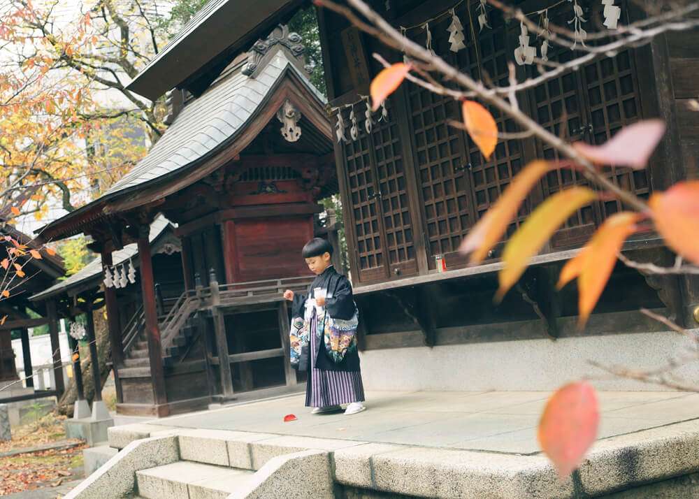 埼玉県川口神社を散策する男の子