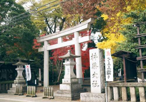 杵築大社の鳥居