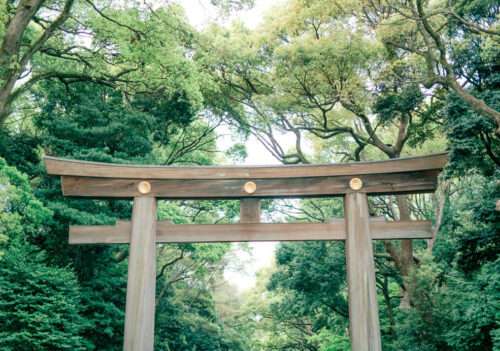 明治神宮の鳥居