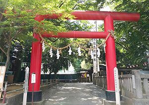 本太氷川神社の鳥居