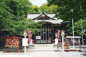 埼玉県川口市青木氷川神社の本殿