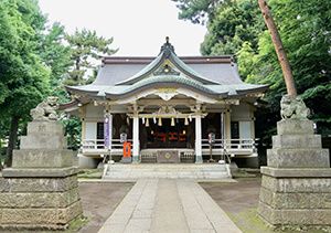 天沼八幡神社の本殿