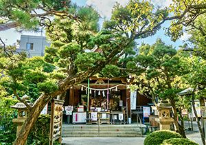 鳩森八幡神社の拝殿前