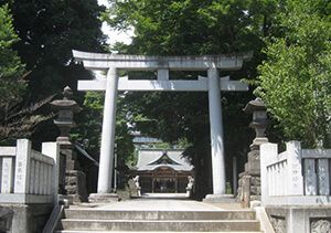 東村山八坂神社の鳥居