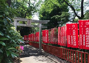 武蔵野稲荷神社の参道