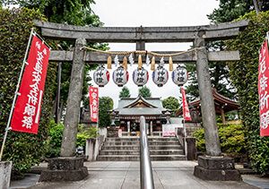 沼袋氷川神社の鳥居