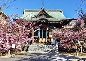 桜神宮の拝殿