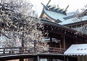 湯島天満宮の本殿