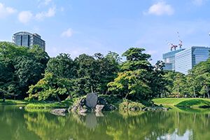 小石川後楽園の池