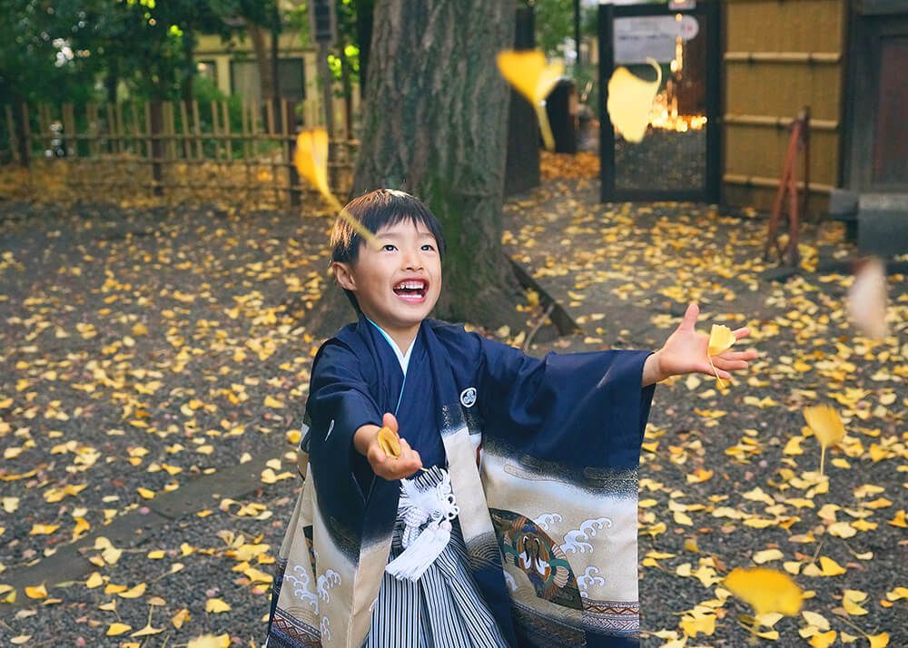 世田谷八幡宮の境内でイチョウを拾う七五三の男の子