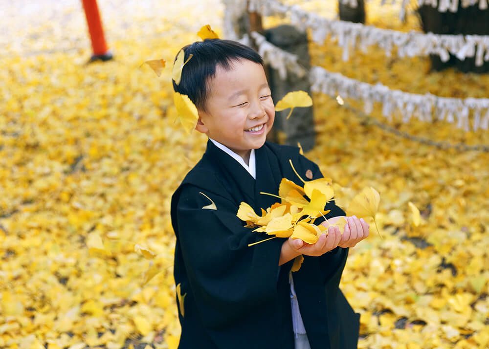 武蔵野市杵築大社の境内でイチョウを拾う七五三の男の子