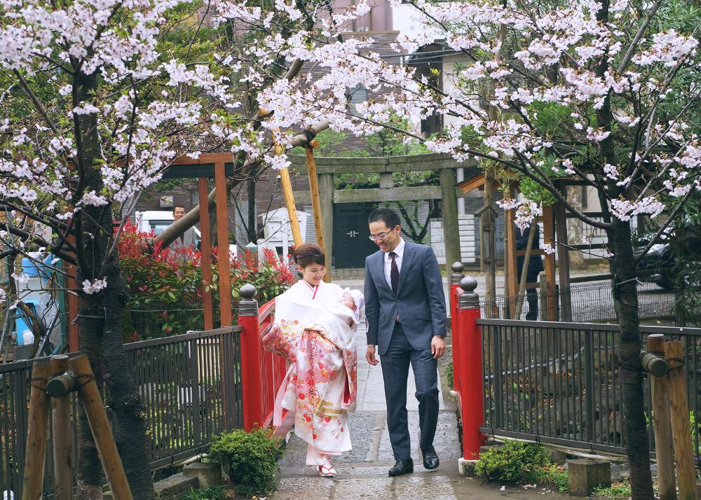 富岡八幡宮の桜の下を歩くお宮参りの家族