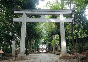 代々木八幡宮の鳥居